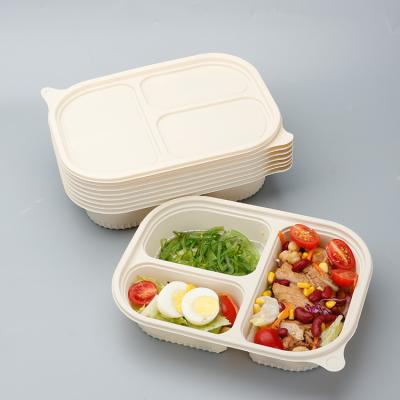 China Eco - Friendly Biodegradable Cornstarch Food Packaging Freshness Preservation Takeout Box for sale