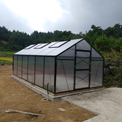 China G-MORE Easily Assembled Titan/Barn Series, 3M Width /6M Length, 4 Seasons Harvest Aluminum Polycarbonate Hobby Greenhouse/10MM (GM32306-G) for sale