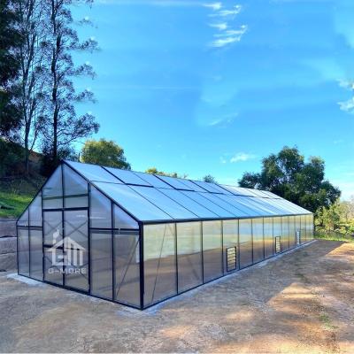 China G-MORE Easily Assembled Tall Industrial Aluminum Greenhouse 14x5 Meters Modular Greenhouse Extension for sale