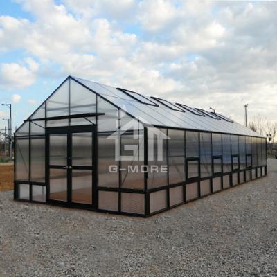 China Easily Assembled G-MORE Titan / Barn Series, 5M Width /12M Length, Super Strong Aluminum / 10MM Polycarbonate Large Commercial Greenhouse for sale