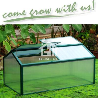 China Easily Assembled Aluminum Garden Export Layers Chassis Series Small Greenhouse For Sale (GM42012-G) for sale