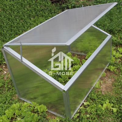 China Easily Assembled Garden Export Layers Chassis Series Small Garden Greenhouse For Sale (GM42021) for sale