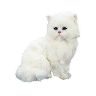 China Cats Realistic Persian Animal Cat Toy Hard Cats Pet Plush For Kids Kids for sale