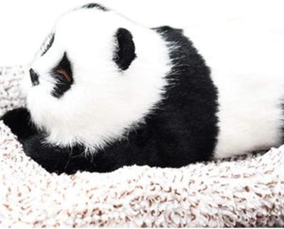 China Lovely Simulation Panda Animal Doll Plush Toy Panda Bamboo Charcoal for Kids Panda Toy Car Decorations for sale