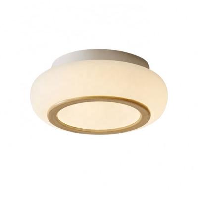 China Surface Mounted Modern Indoor LED Ceiling Light 18W 25cm Wall Lamp Balcony Light Ceiling Lamp for sale