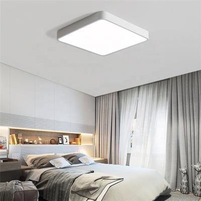 China New Pattern Simple Modern Decorative Acrylic Light Led Smart Ceiling Lamps For Home With Outdoor for sale