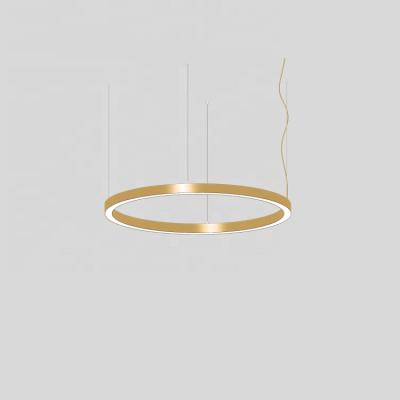 China EUROPEAN HLINEAR LC4060-C-740 Led Ring Hanging Light Round Linear Light for sale