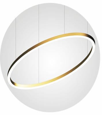 China Nordic style lamp EUROPEAN style suspension led ring light cicular linear lamp for sale