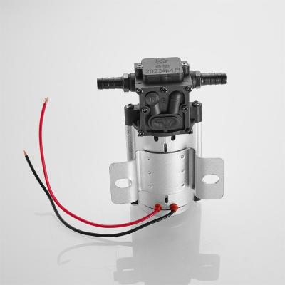 China Other TianYue 24V DC Diaphragm Pump TY-112 / TY-124 single in single, domestic quality assurance for sale