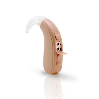 China Professional Wholesale Manufacturer Hearing Aids China Digital Hearing Aids Main F-PT1-007 12 Ear Hook China Popular Hearing F-PT1-007 for sale