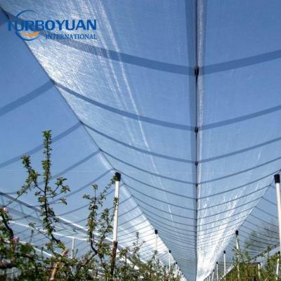 China Virgin HDPE with UV Hail Stabilizer Orchard HDPE Net / Vineyard Fruit Protection Mesh Netting For Hail Control for sale