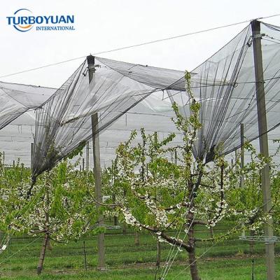 China Virgin HDPE With UV Stabilizer Woven Knitted Hail Protection / Anti Hail Seam Net / Yemen Guard Net For Vineyard for sale