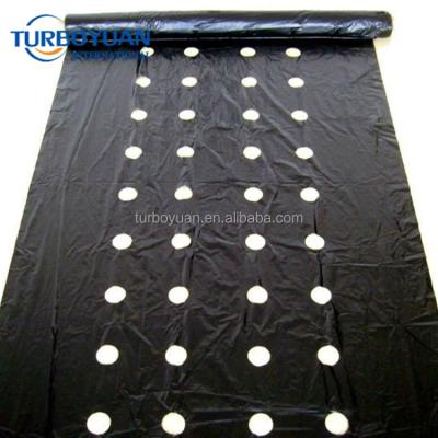 China China Black Plastic Sheet Agriculture Mulch Moisture Proof Perforated Film for sale