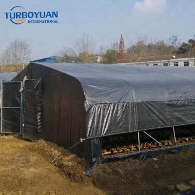 China Anti Hydroponics UV Panda Film Black White Cover for Edible Mushroom/Medicinal Herbs Growing Greenhouse for sale