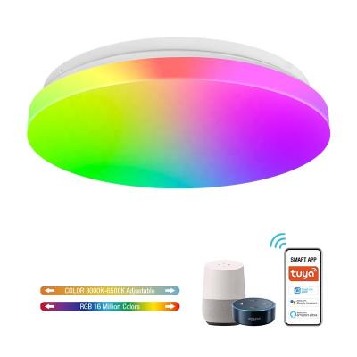 China CE ROHS Modern Ultra-thin round ww 50mm 1.9in 2400LM APP RGB smart wifi led ceiling light for sale