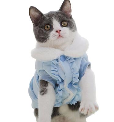 China Winter Stocked Dog Cat Clothes Super Warm Soft Fur Hood Jacket For Small Dog Coat Cotton Jacket for sale