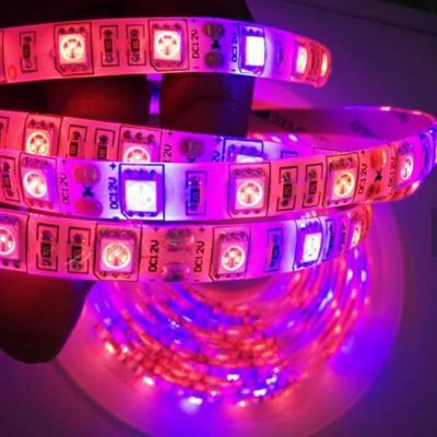 China Seed Starting High Quality SMD 5050 Waterproof Epistar Led Rope Plant Grow Lighting DC / 12V 24V LED Strip Light Grow Light for sale