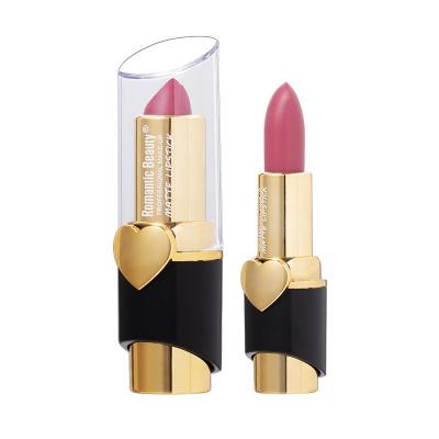 China 2021 Waterproof New High-end Color Retention Moisturizing And Dropping Lips Waterproof Silky Matte Matte Lipstick for sale