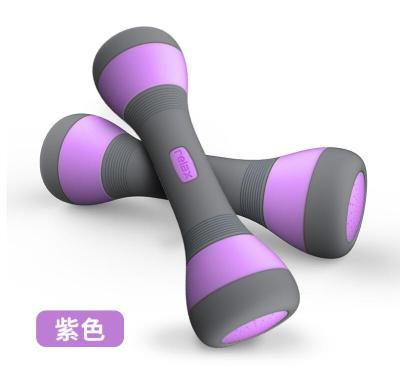 China Sports Toys Fitness Dumbbells Gym Small Fitness Dumbbells Palm Lift Dumbbell for sale