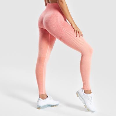 China Hot Sales Ombre Seamless Leggings Breathable Stretch High Waisted Workout Gym Running Leggings Yoga Pants for sale