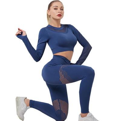 China Wholesale Antibacterial Women Sportswear Cropped Seamless Long Sleeve Gym Wear Womens Seamless Tops for sale