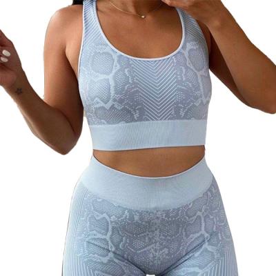 China Custom Print Logo Women Breathable Yoga Wear Sets Fitness Seamless Activewear Sports Wear Seamless Yoga Set for sale