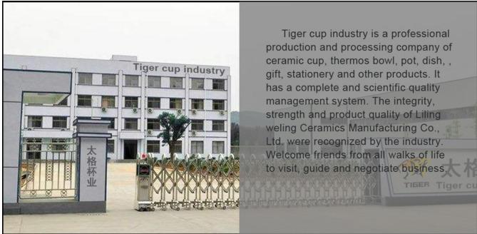 Verified China supplier - TG CUP Industry Technology (Hangzhou) Co., Ltd.