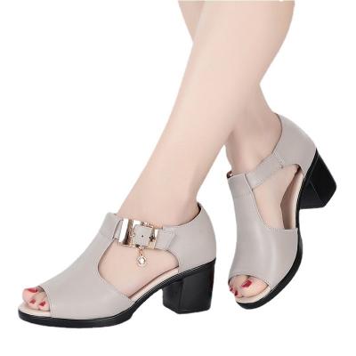 China New Summer PVC Women's Chunky Heels Mid Heel Female Shoes Shape Sandals Women for sale