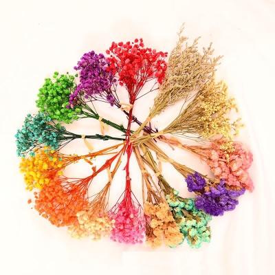 China Mini Decorative Dried Flowers Babysbreath Eco-Friendly Flowers Bouquet Natural Plants Preserve Floral For Wedding Home Decoration for sale