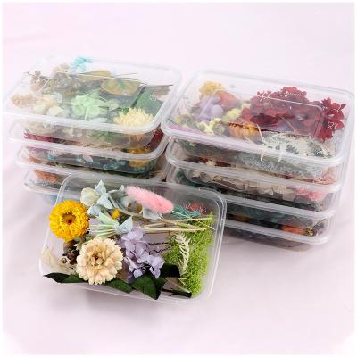 China Natural Touch Amazon Success Diy Flowers Craft Decoration Mixed Color Box Enternal Dried Plants Flower Dried Flowers for sale