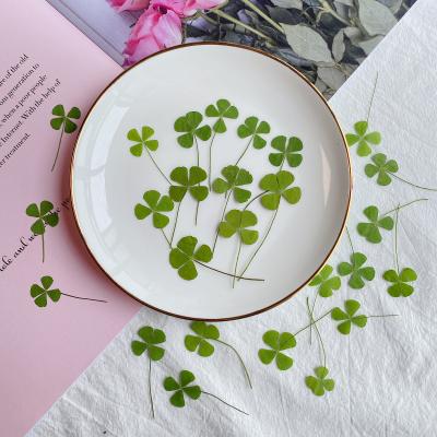 China Natural Touch Dry Lucky Combination Pressed Dry Leaf Plant Four Leaf Clover Necklace Jewelry Making Process Pendant Diy Accessing for sale