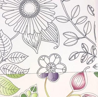 China Custom Adult Coloring Book Kids JC160029 OEM Mindfulness Drawing Coloring Printing for sale