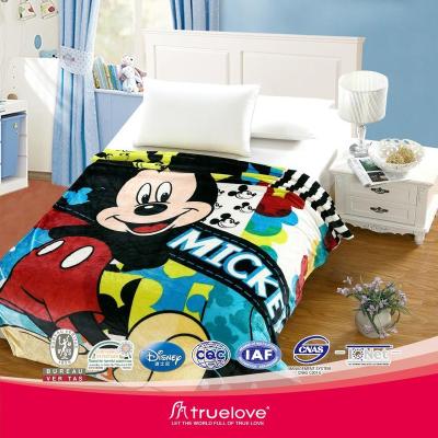 China Factory Price Wholesale Disposable Animal Print Home Flannel Mexican Textile Blanket for sale