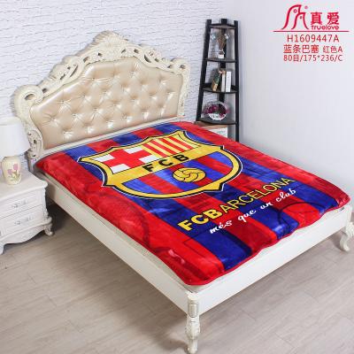 China Anti-pilling Soft Blanket Super Soft Plush Mink Korean Style Heavy Spain Warm 1Ply Printed Raschel Bed Blanket for sale