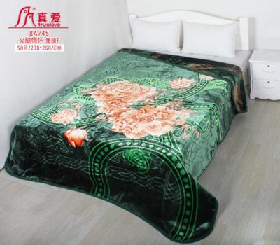 China Waterproof Beloved 2019 Fashion Home Design High Quality Printed Korea Mink Blanket for sale