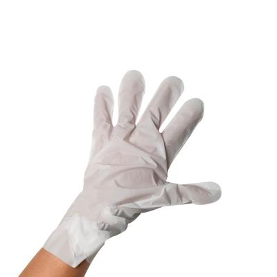 China biodegradable & Customized Supplier Europe Compostable Biodegradable Hand Gloves for sale