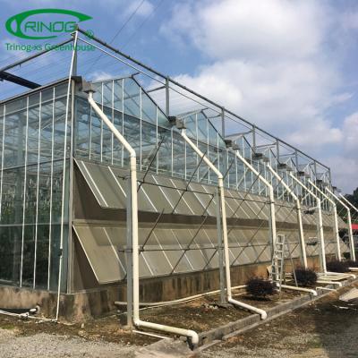 China Factory directly Trinog greenhouse side multispan glass duct from greenhouse glass greenhouse manufacturer greenhouse and roof duct for sale