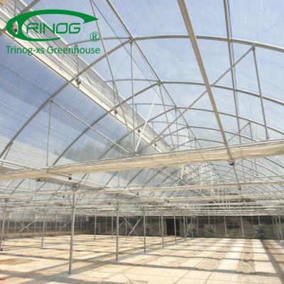 China 150micro greenhouse hydroponic multispan agricultural film Trinog green house hydroponic green house for cucumber planting for sale