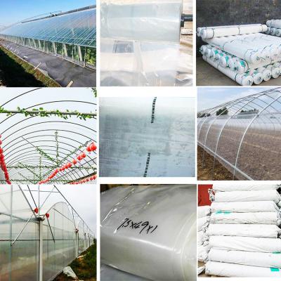 China Trinog 150 Micron PO Greenhouse Plastic Sheet Fog Resistant High Light Transmittance UV Protection PE Film for sale