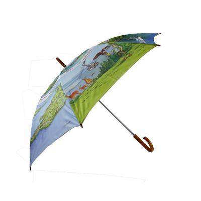 China Country Germany Market Heat Transfer Printing Upright Umbrella for sale