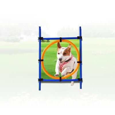 China Viable Jump Obstacle Dog Agility Perfamence Training Equipment For Dog for sale