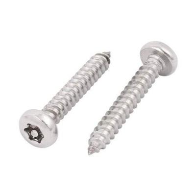 China Pan Head Cross Self Tapping 304 Stainless Steel Screw for sale