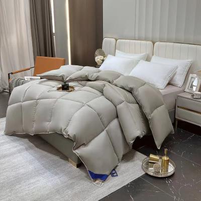 China China Wholesale Winter Luxury Warm Bedroom Polyester Heavy 100% Duck Feather Down Comforter Comforter Quilt for sale