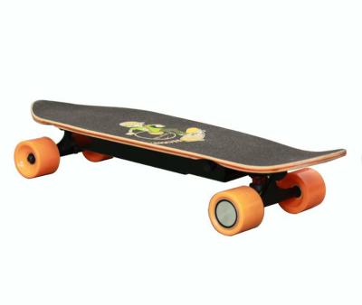 China Wooden Hub Motor Longboard Diy Electric Skateboard For Sale for sale