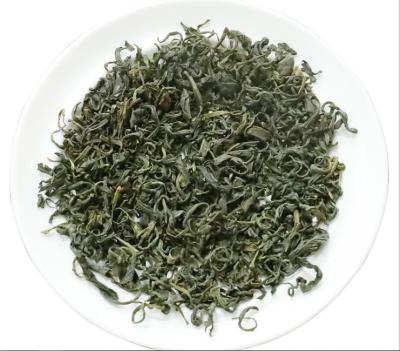 China Luzhou-scented snow green tea for sale