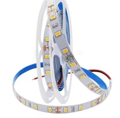 China Top SMD5630 60 Leds Flexible LED Strip IP20 DC12V 10mm PCB High CRI 12000K White Warm White Red Green Blue for sale