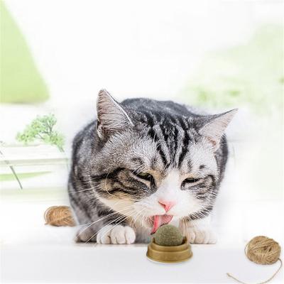 China New Viable Pet Teeth Grinding Teeth Cleaning Food Cat Snack Mint Ball Mint Ball Stain Wholesale Undamaged for sale