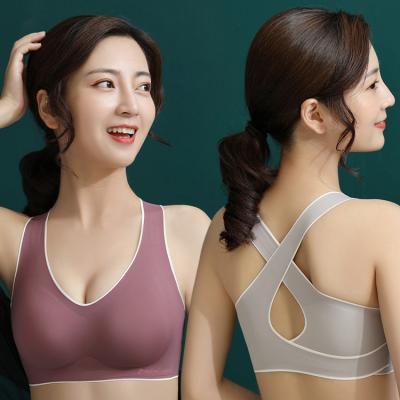 China Antibacterial Custom Logo Woman Gather Wireless Seamless Sport Bra for sale