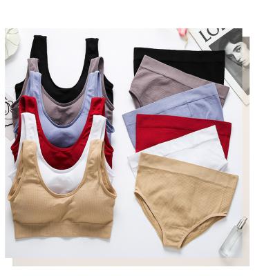 China Antibacterial Comfort Sports Underwear Female Sexy Elastic Breast Padded Cup Strap Bra And Panties Seamless Panties Sets For Women for sale