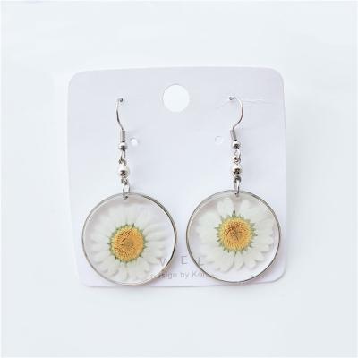 China FASHIONABLE Daisy Sunflower Wire Hook Earrings Jewelry Natural White Dried Resin Dried Flower Drop Earrings For Women for sale